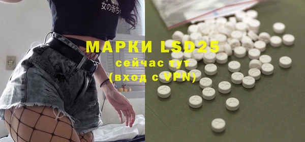 PSILOCYBIN Вязники