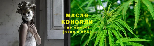 индика Вязьма