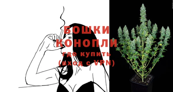 PSILOCYBIN Вязники