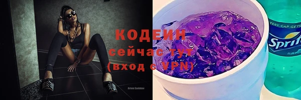 индика Вязьма