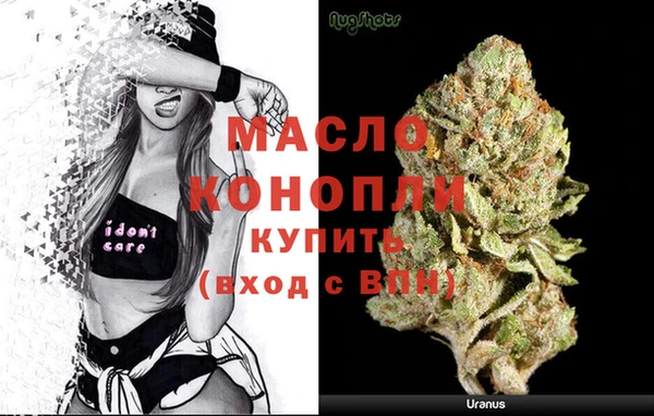 индика Вязьма