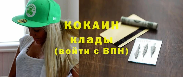 индика Вязьма