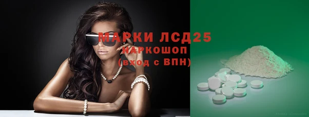 индика Вязьма