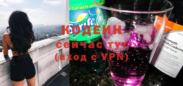 индика Вязьма