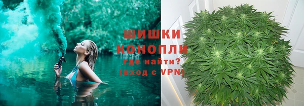 PSILOCYBIN Вязники