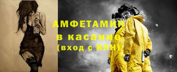 индика Вязьма