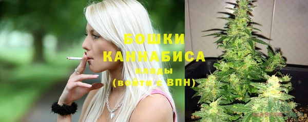 индика Вязьма