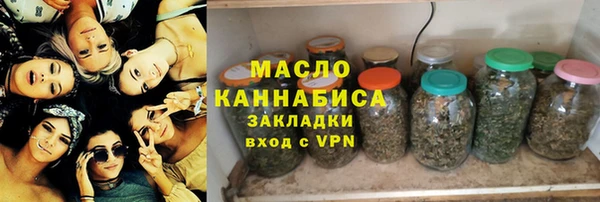 индика Вязьма