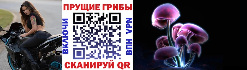 Галлюциногенные грибы мицелий  Сургут 